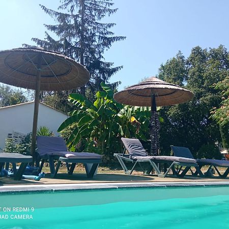 Mas Des Vignes Piscine Chauffee Bed & Breakfast Le Champ-Saint-Pere Bagian luar foto